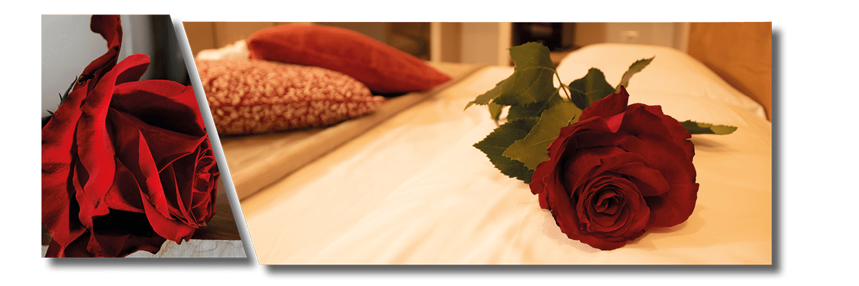 Banner-san-valentino-v1-DS-LQ.png